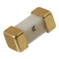 2410-3812-4818 Smd Sigorta